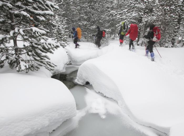 grupo de senderistas andando por la nieve